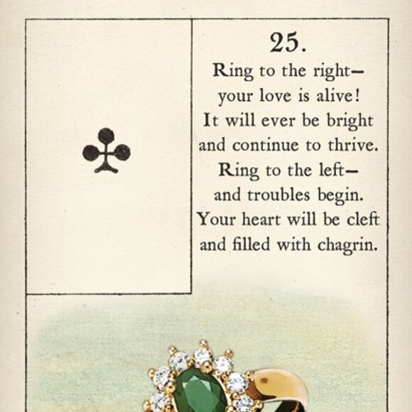 Blue Bird Lenormand, New,  Sealed,  Sat under Texas 100% totality April 8, 2024 - Picture 6 of 9